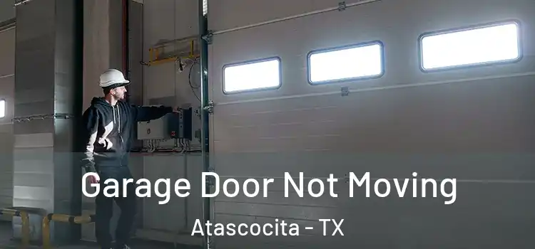  Garage Door Not Moving Atascocita - TX