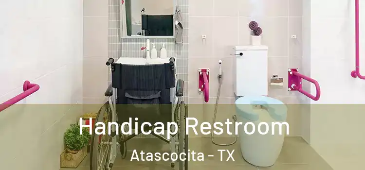 Handicap Restroom Atascocita - TX